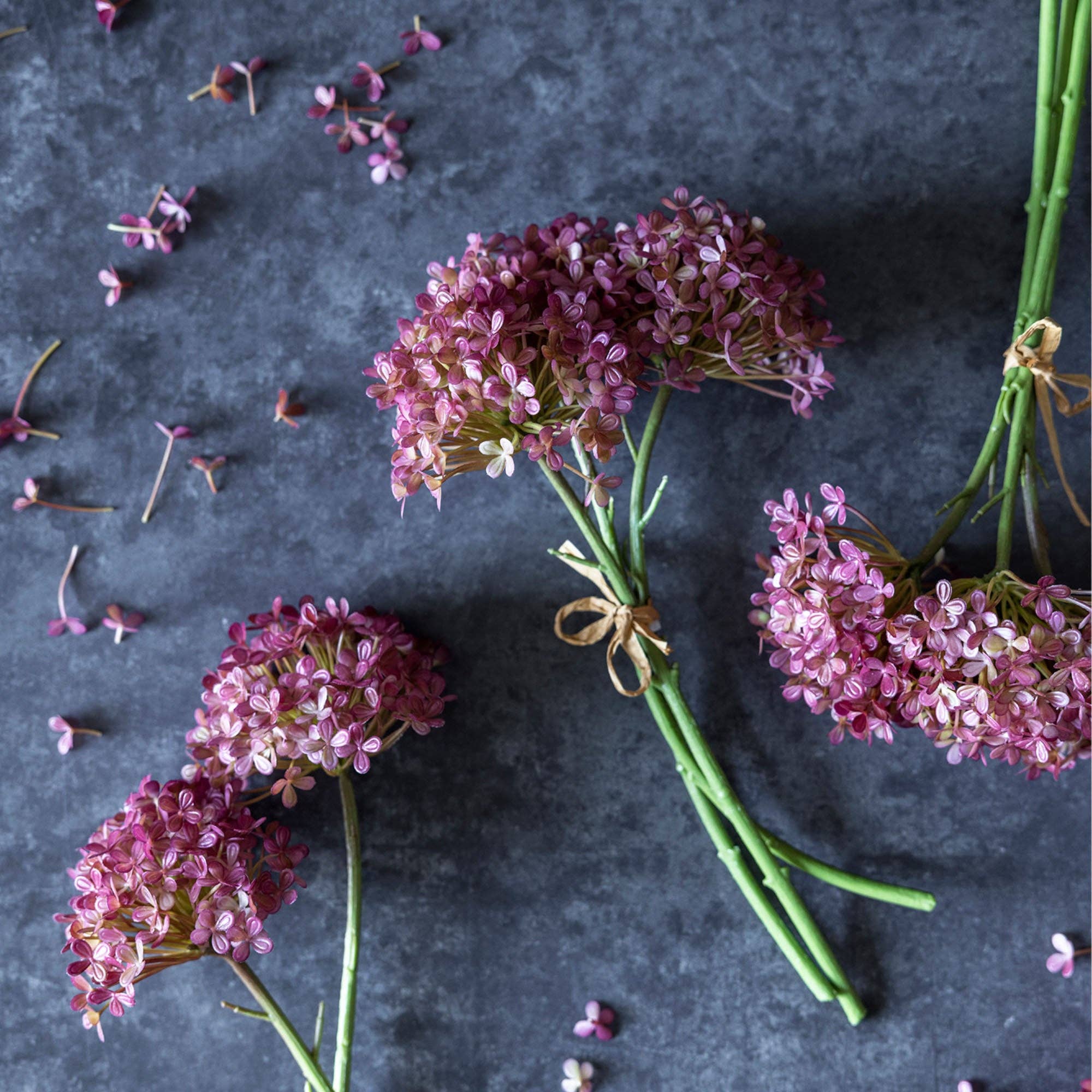 Hortensia Bunch