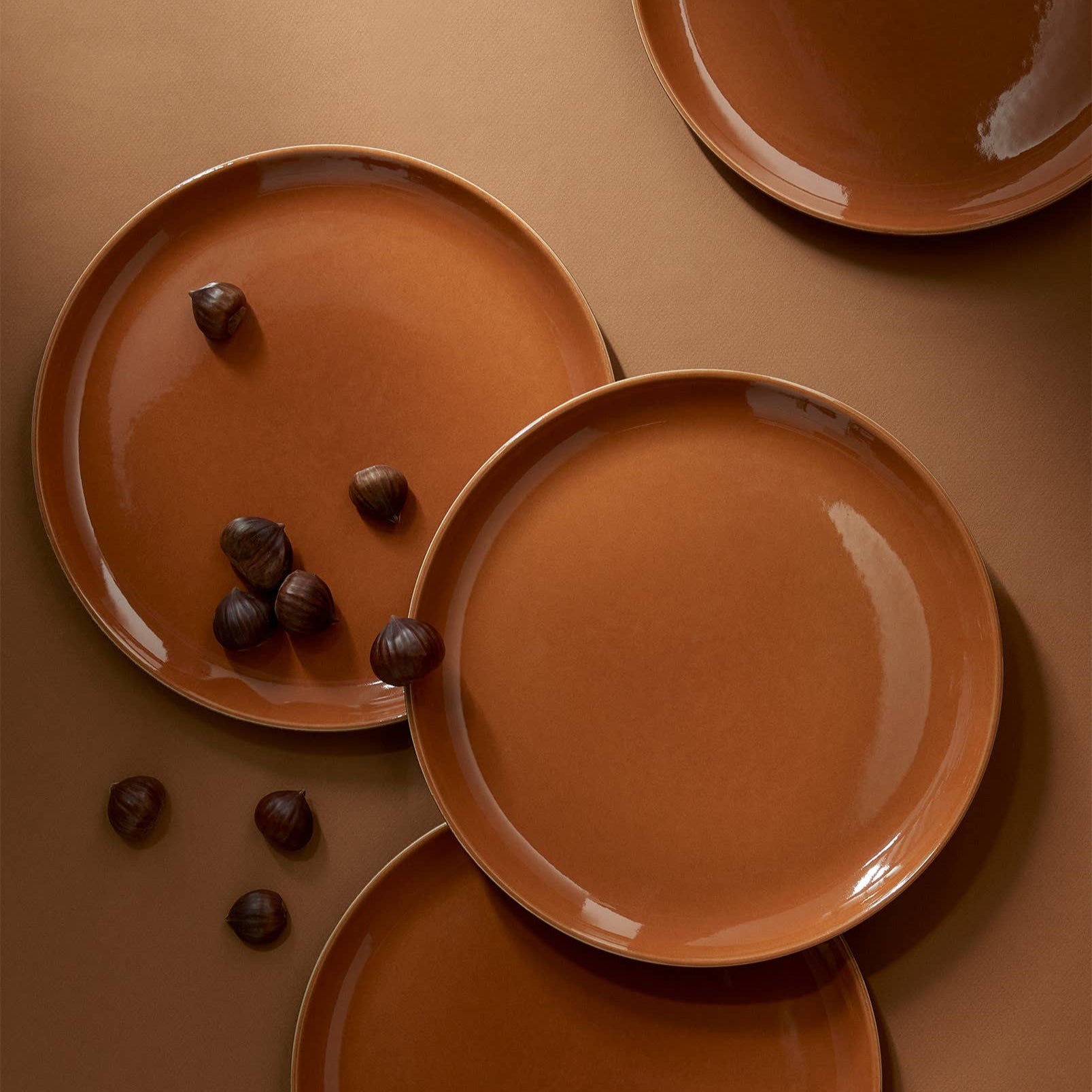 Edan Flat Dinner Plate | Matte Terracotta / Shiny Terracotta