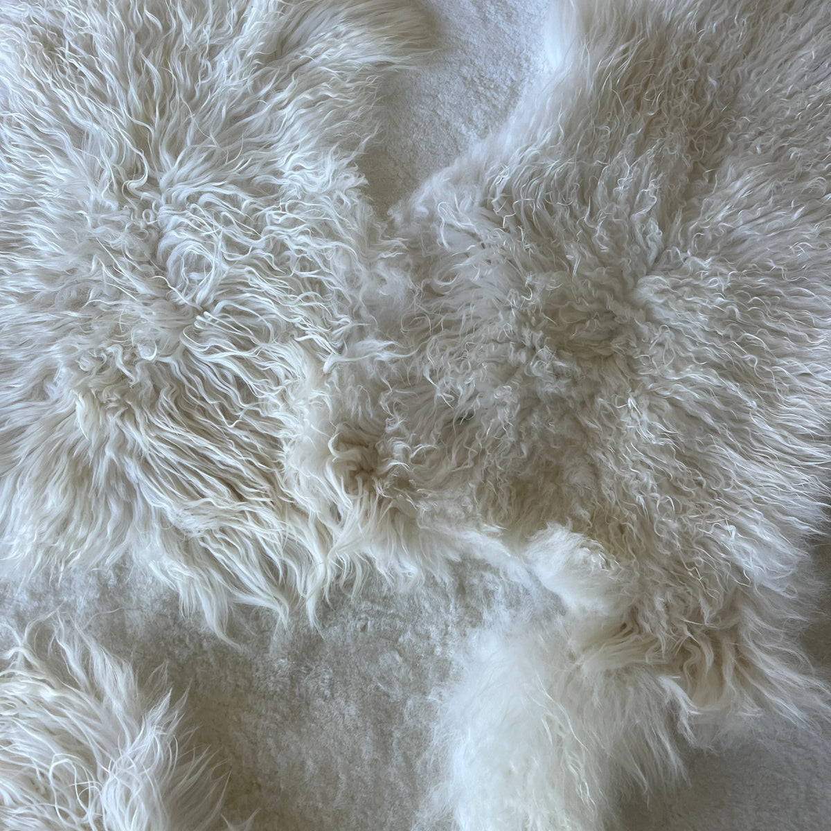 Sabine Maes Sheep Skin | Floor Sample
