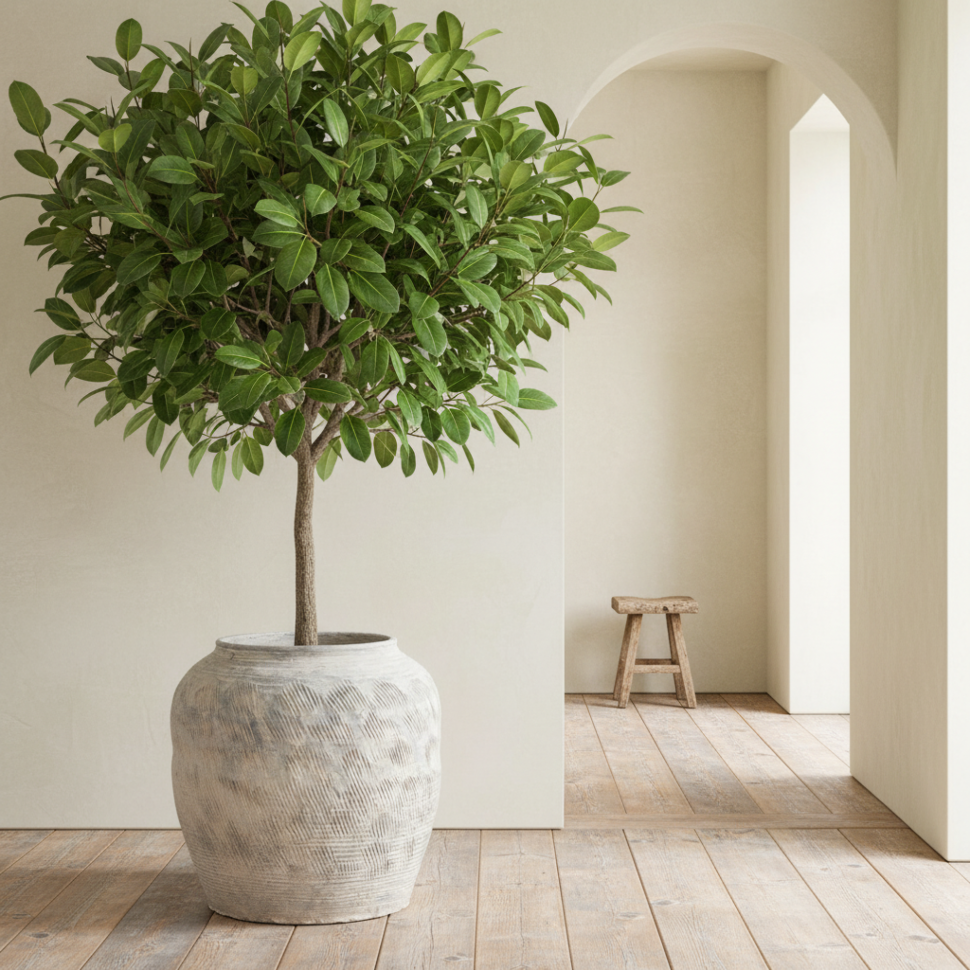 Chinese Water Pot | Large