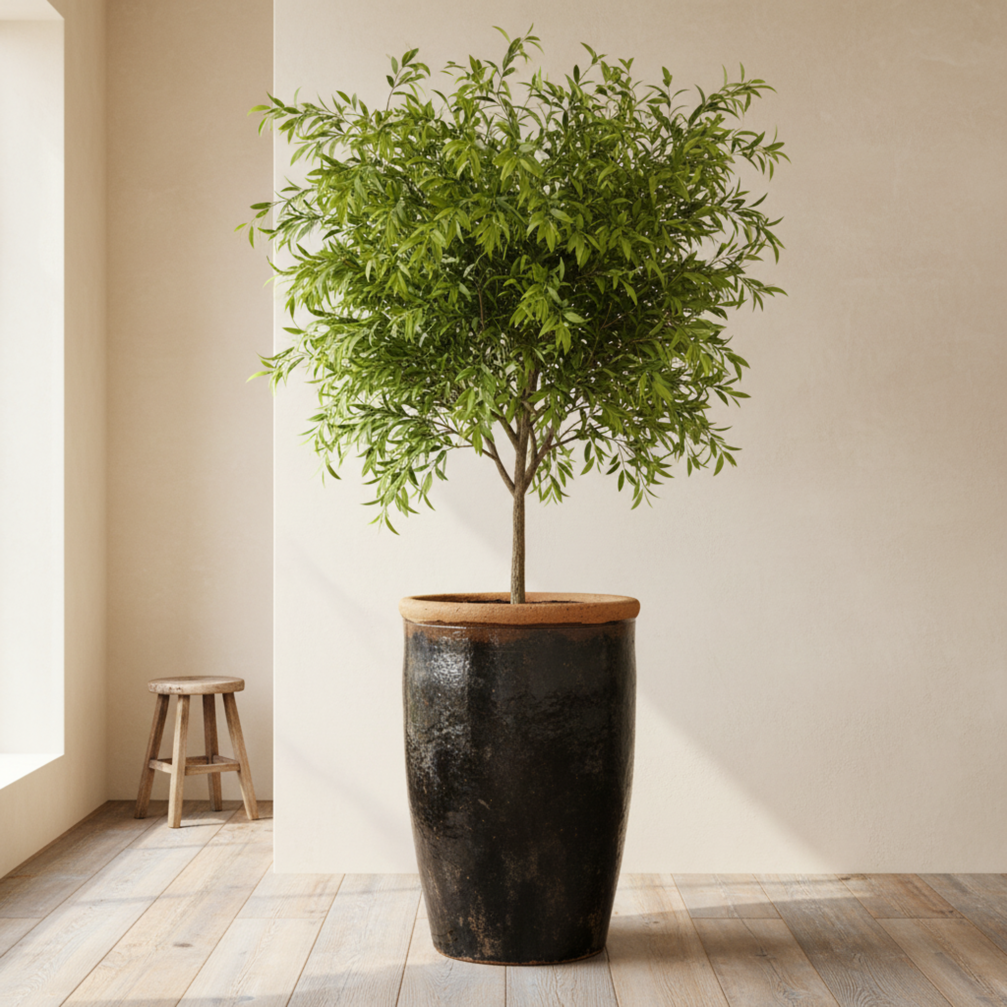 Glazed Water Pot | Small