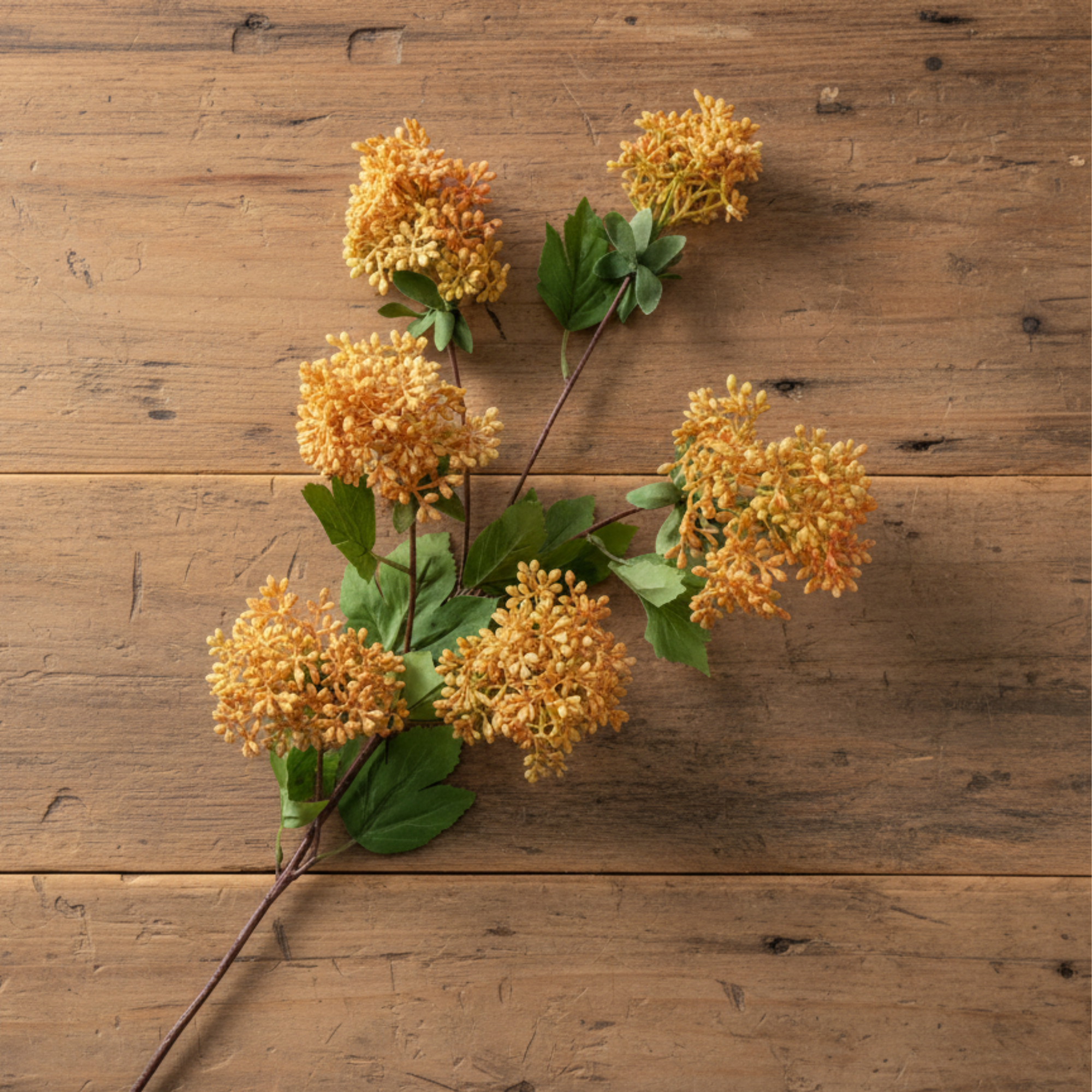 Rice Flower Spray with Leaves | Orange