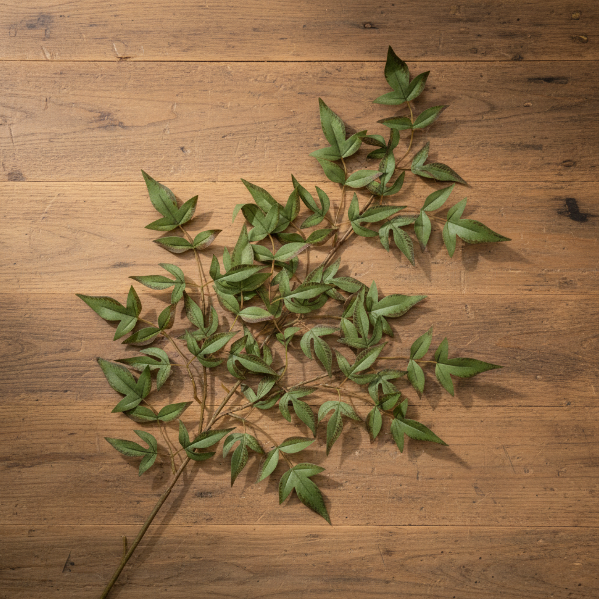 Nandina Spray | Green/Brown