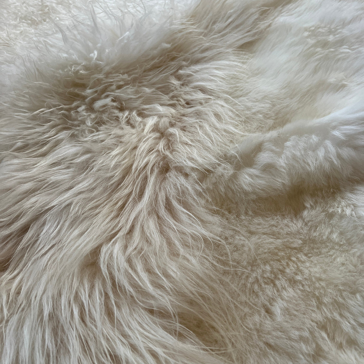 Sabine Maes Sheep Skin | Floor Sample