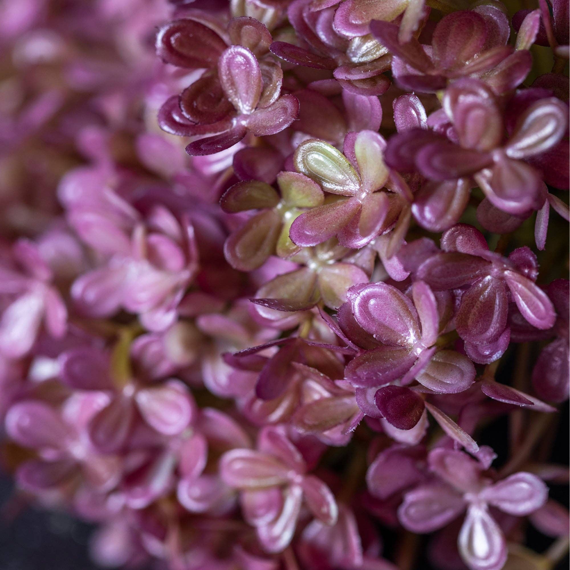 Hortensia Bunch