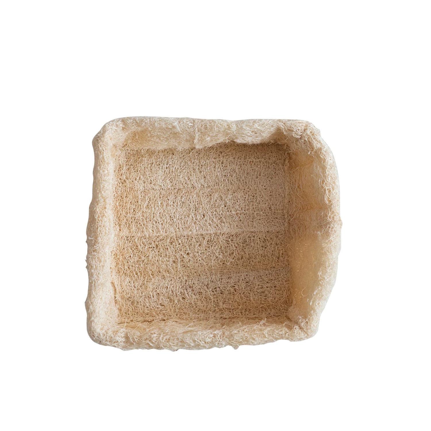 Loofah Container | Natural