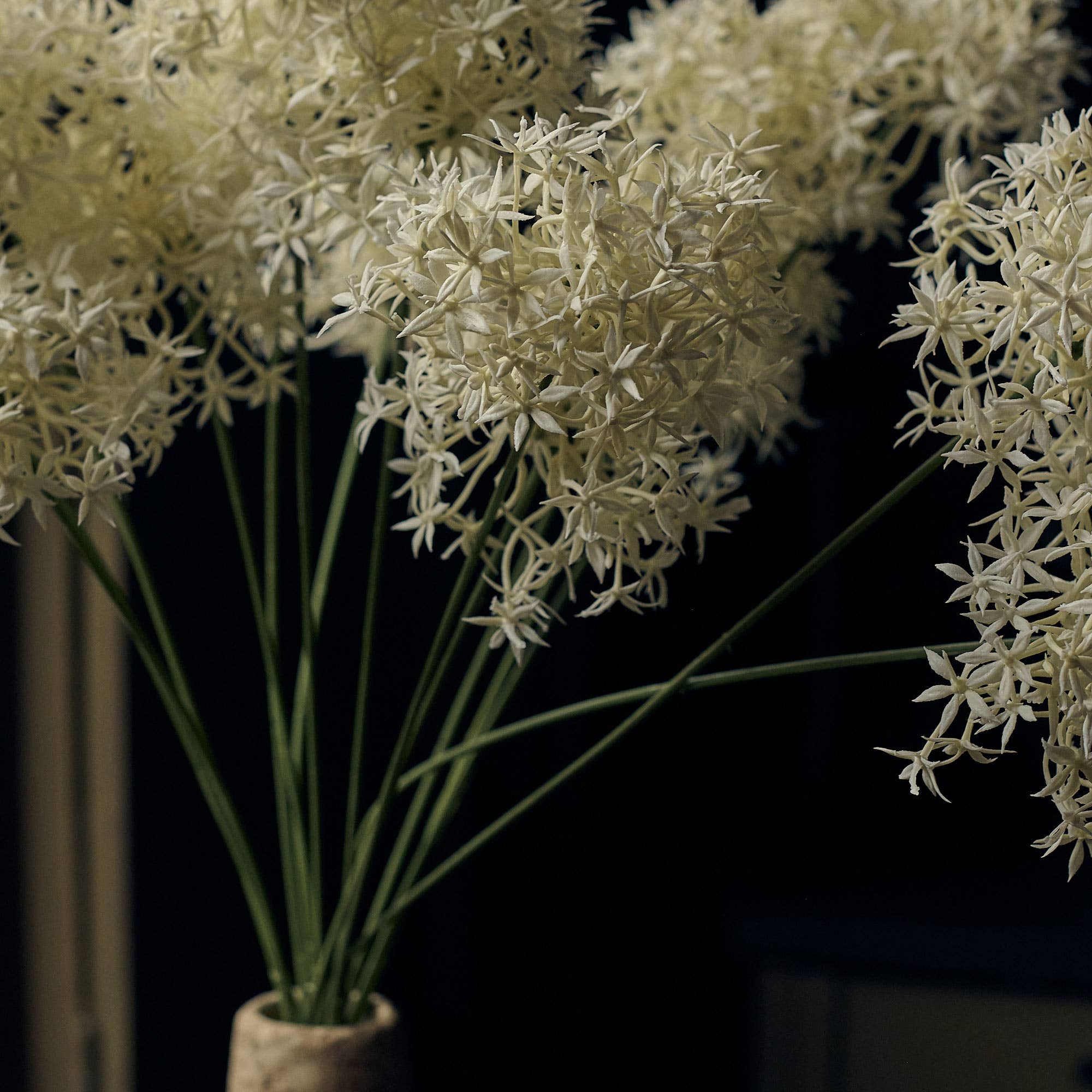 Allium Cream Bunch
