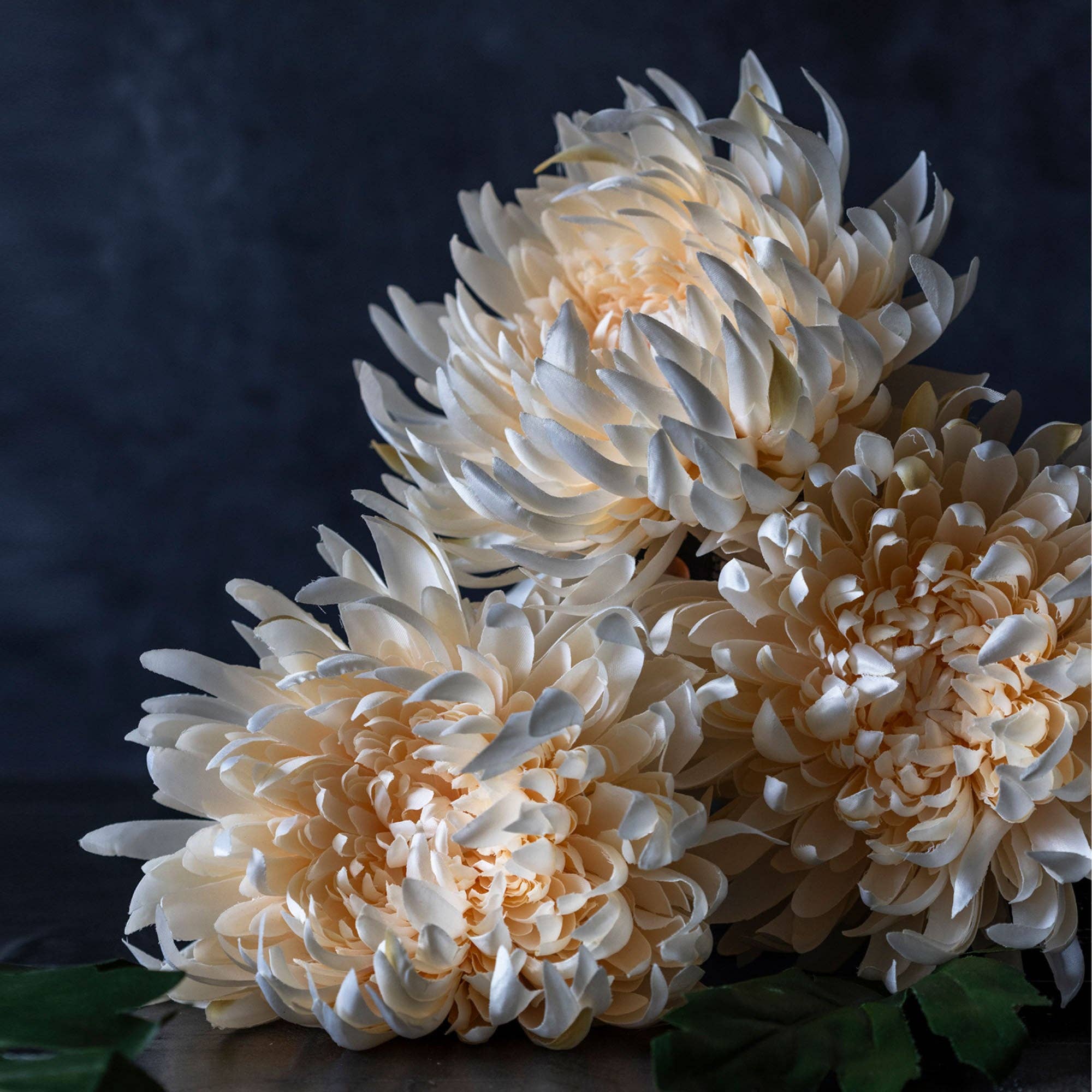 Chrysanthemum Stem | Cream