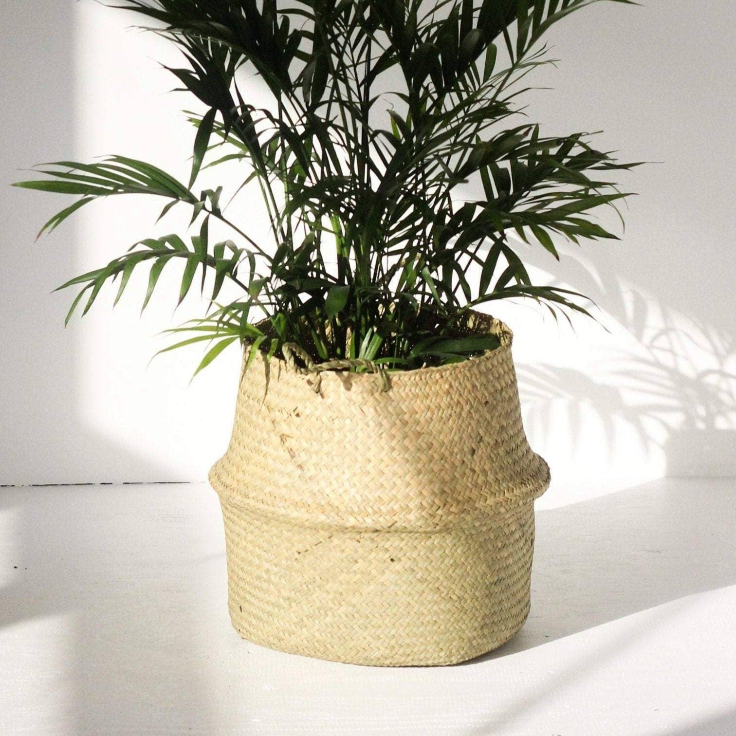 Seagrass Belly Basket/Planter | 15.5"