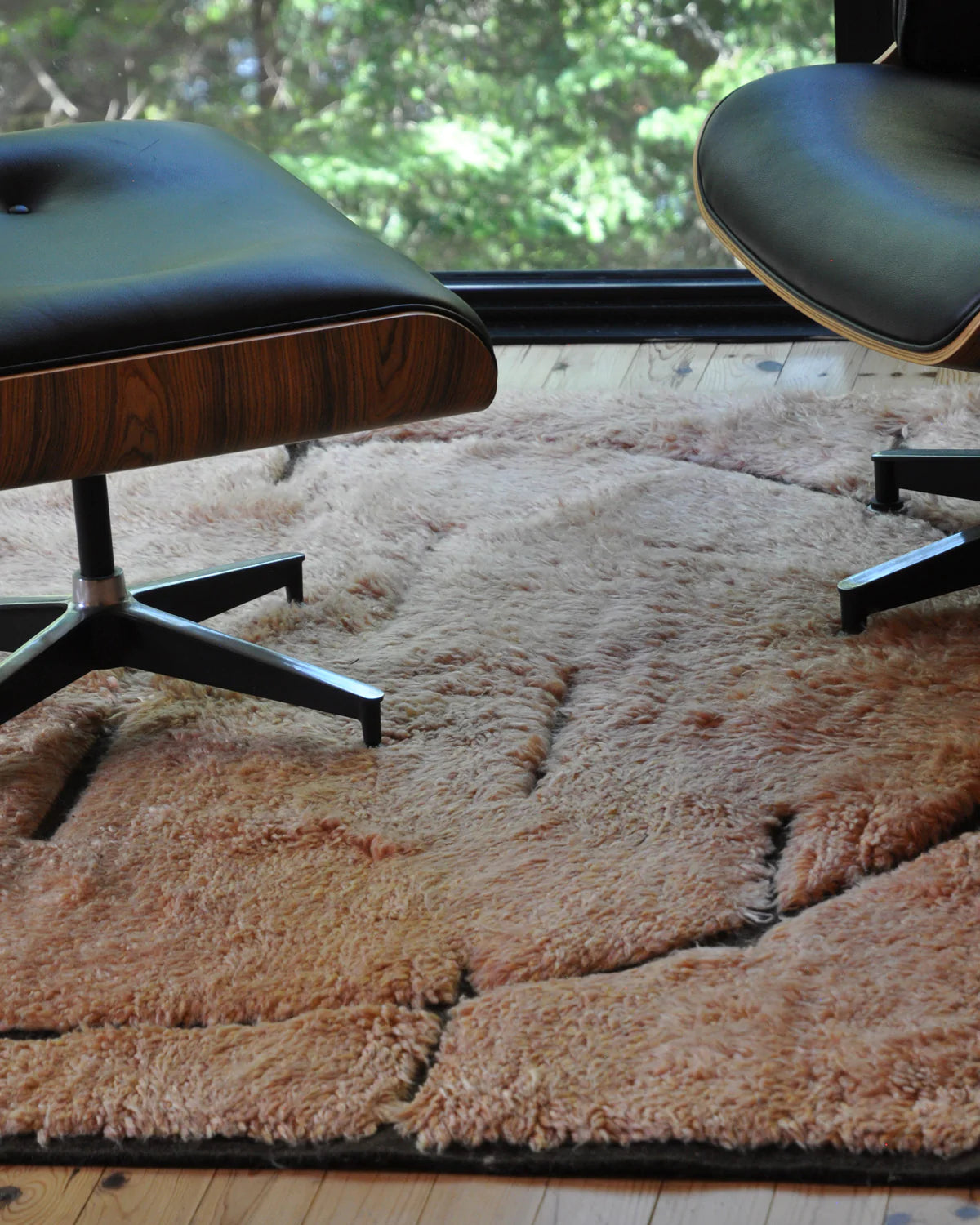 Dawn Area Rug by Mark Krebs | 8 x 10