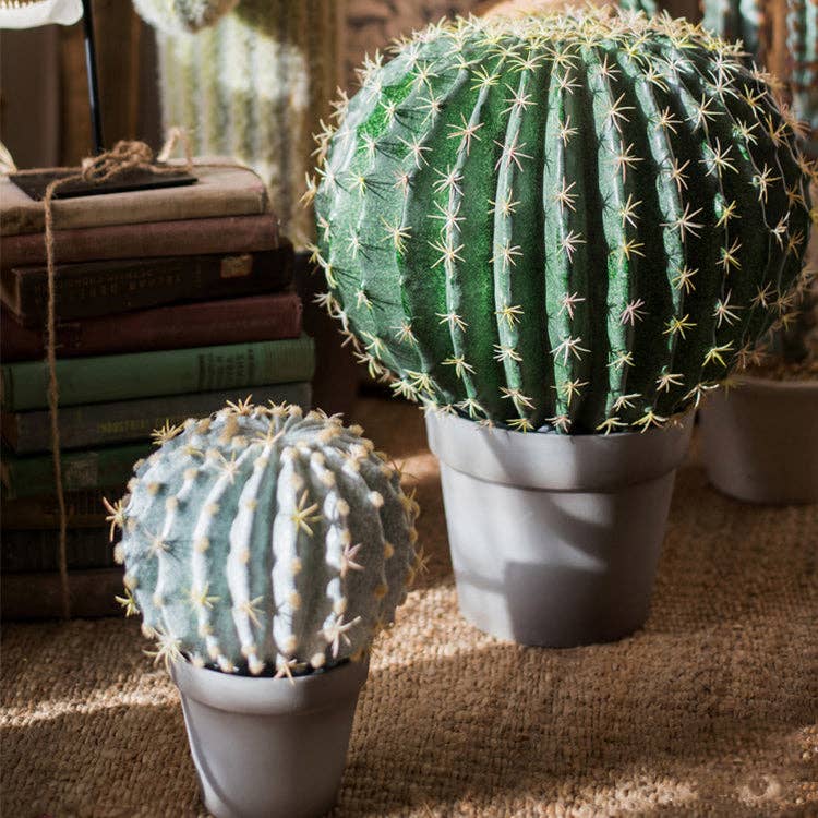 Potted Cactus Ball | Small