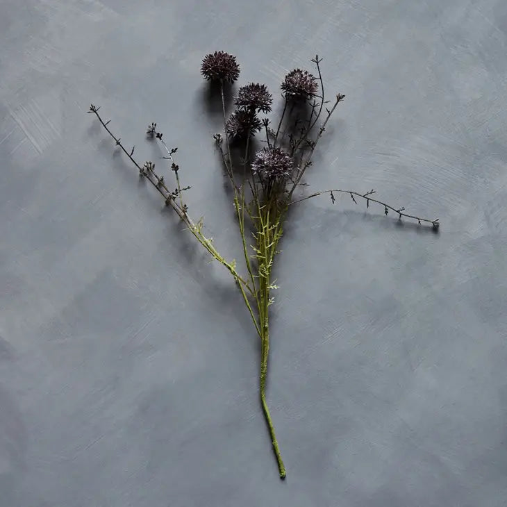 Melaleuca Purple Stem