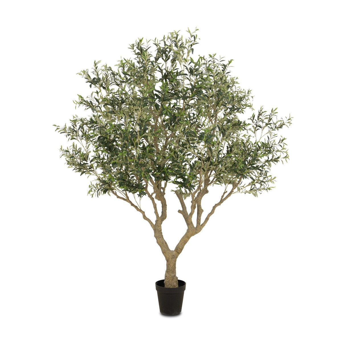 Faux Olive Tree Wide