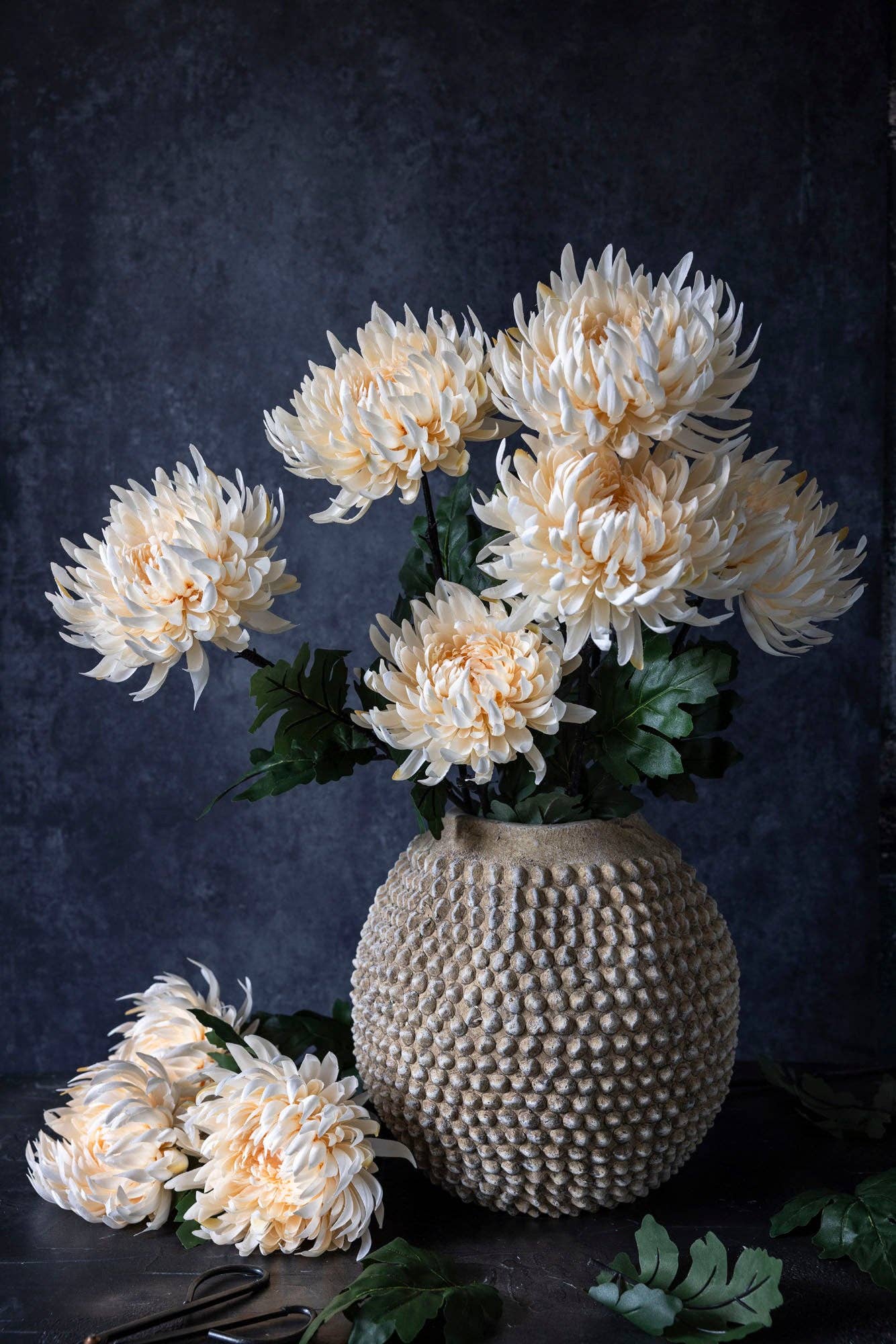 Chrysanthemum Stem | Cream