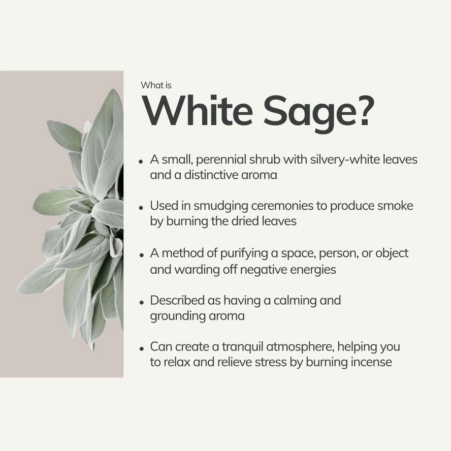 White Sage Hand-rolled Incense Stick