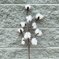 Cotton Blossom Stem