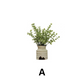 Faux Plant in Distressed Stoneware Pot | Assorted Styles