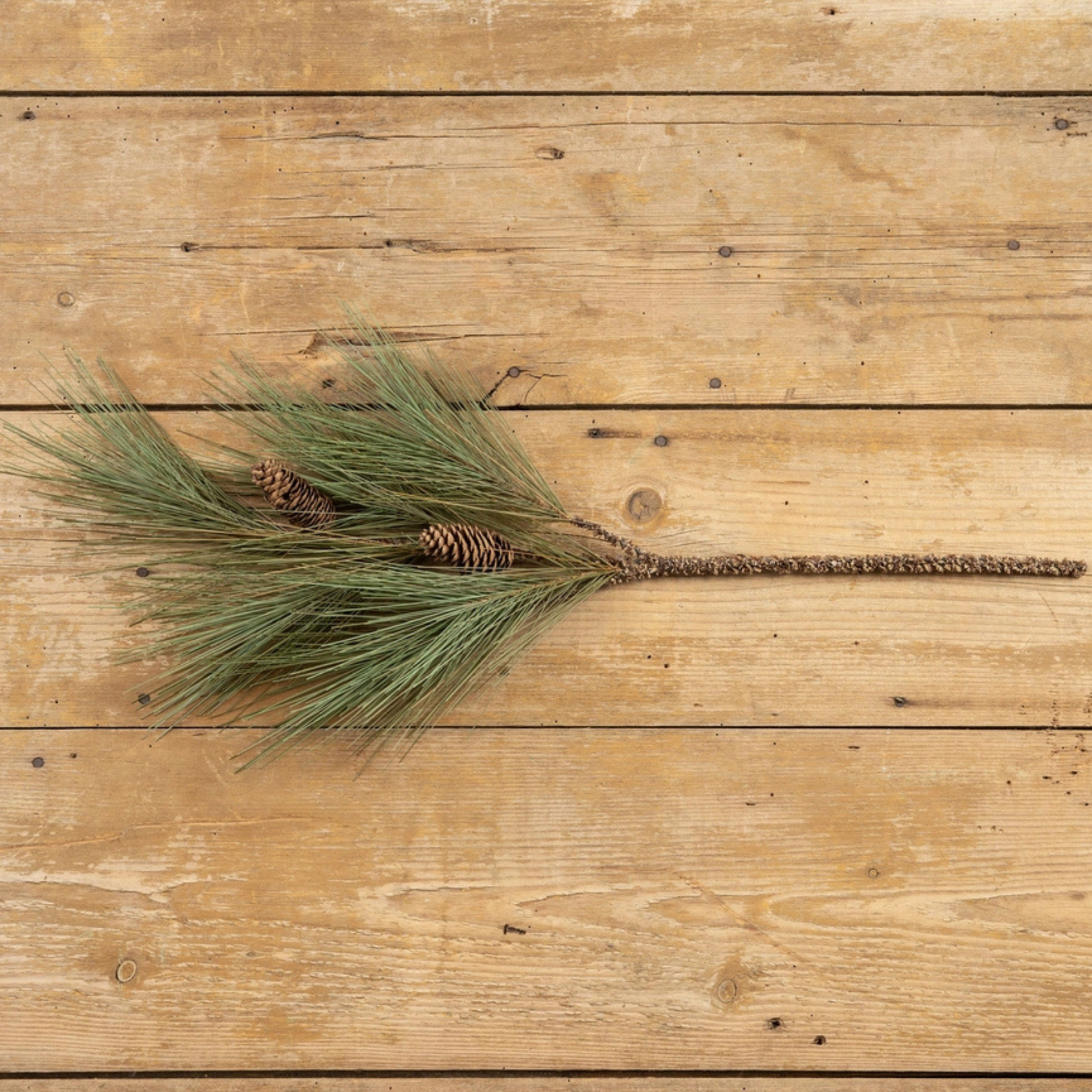 River Pine Spray with Cones | 29"