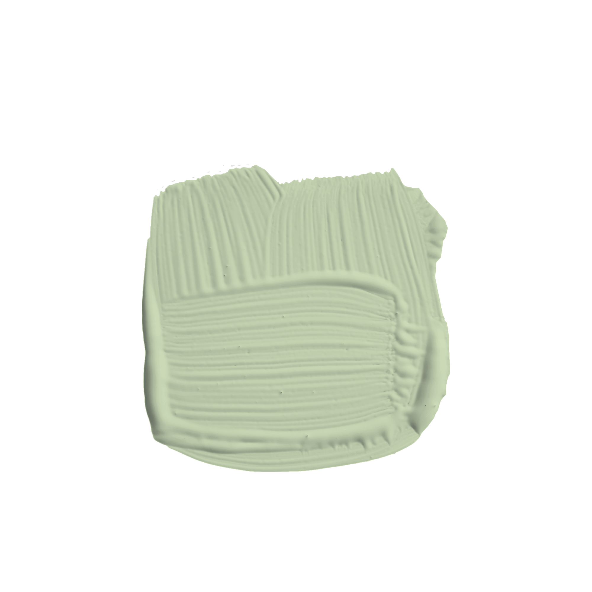 Palm No. CC4