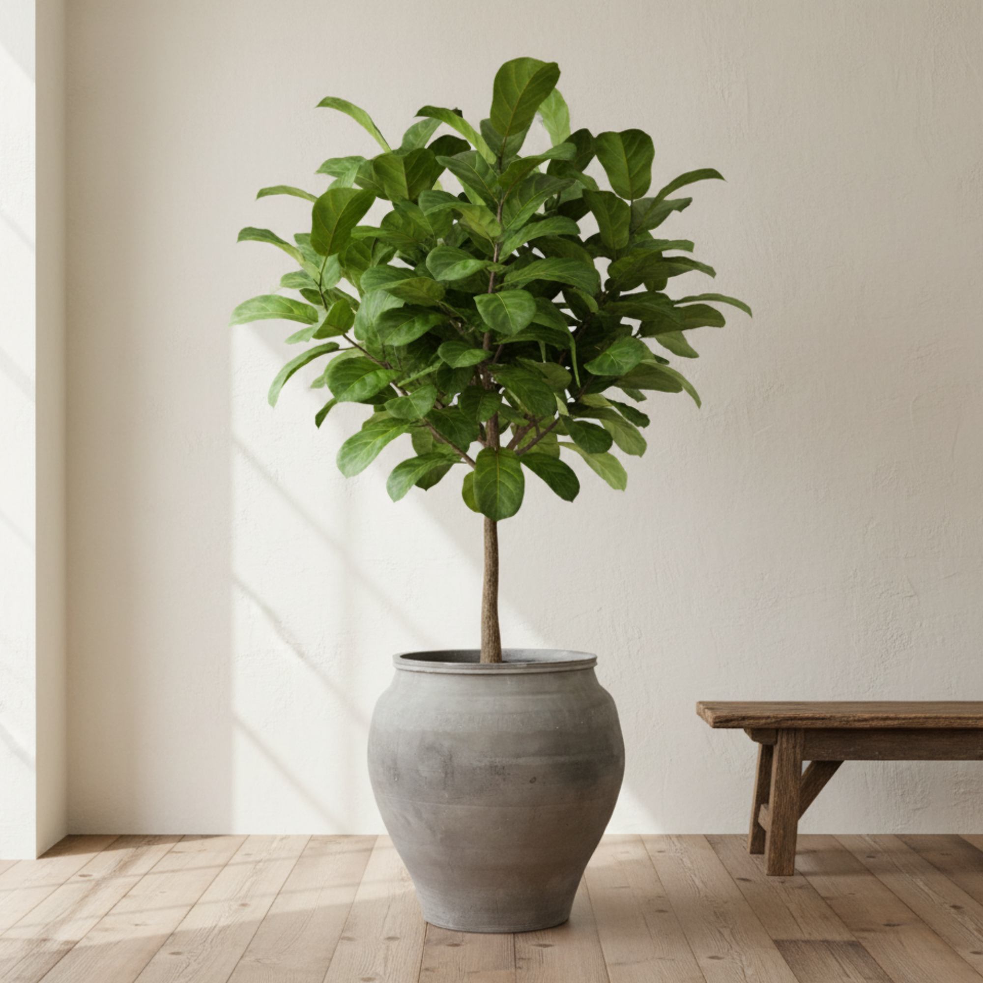 Siheyuan Water Pot | Vintage Chinese Clay Planter