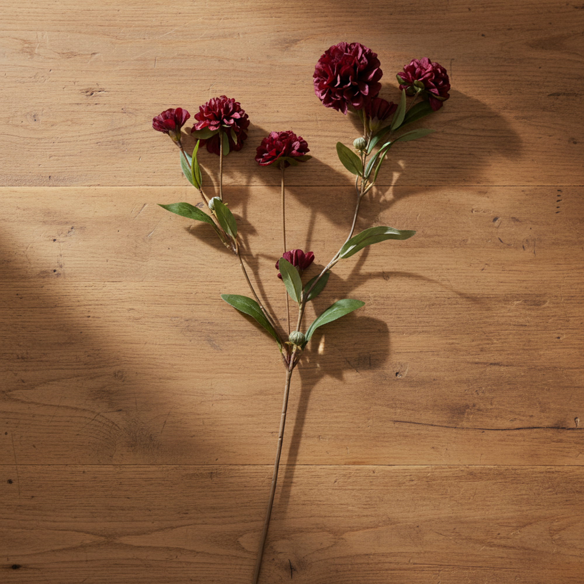 Ball Dahlia Stem | Burgundy