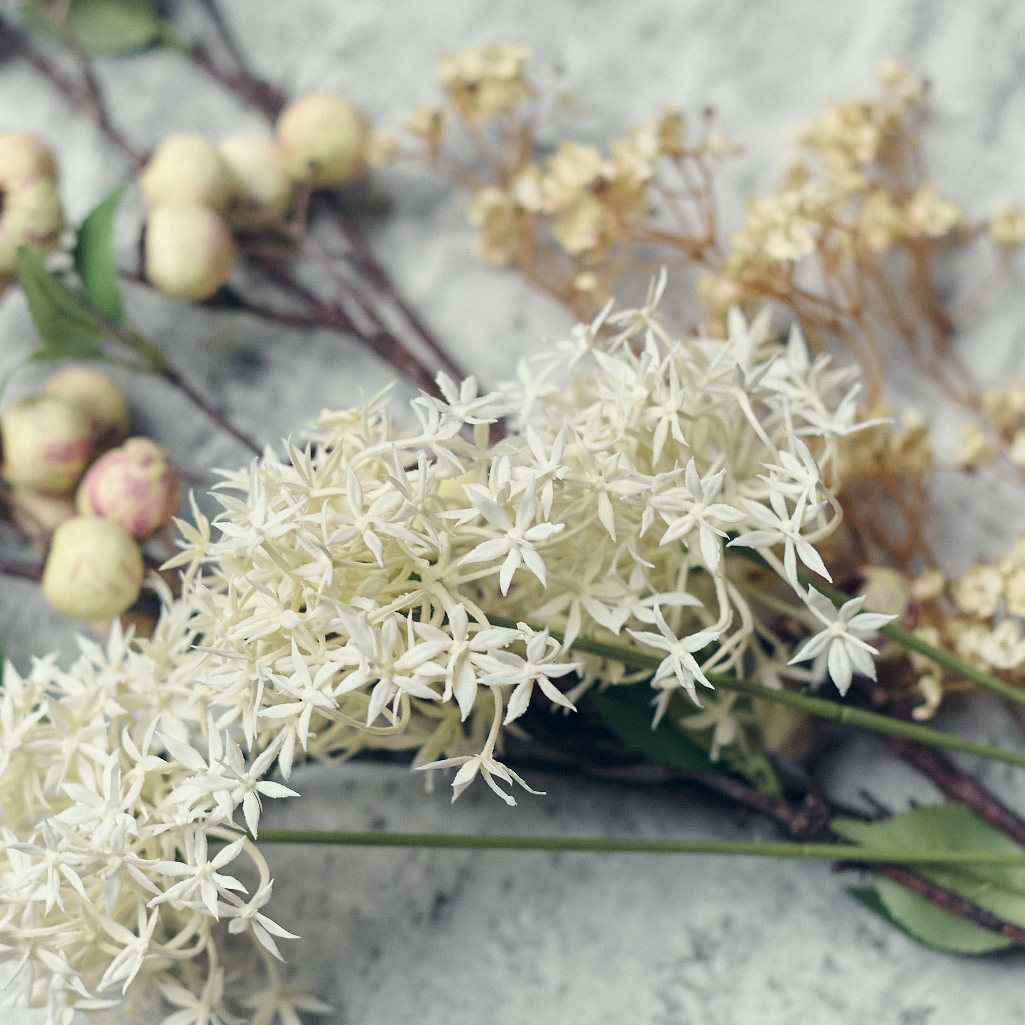 Allium Cream Bunch