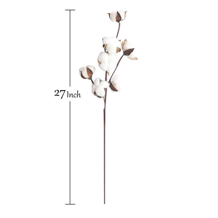 Cotton Blossom Stem