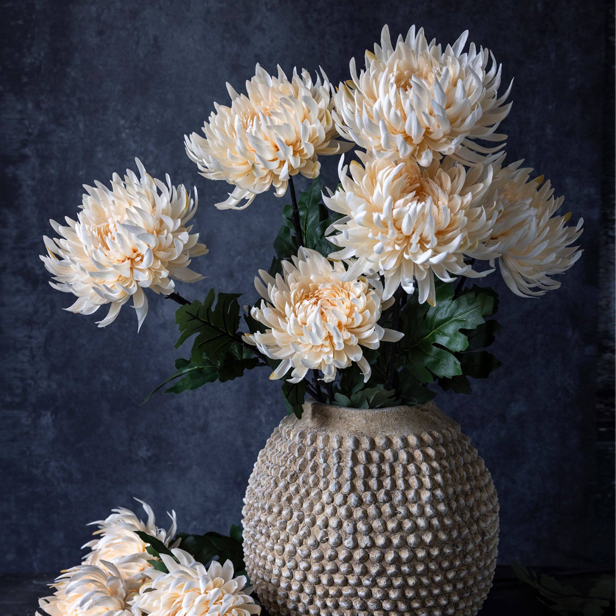 Chrysanthemum Stem | Cream