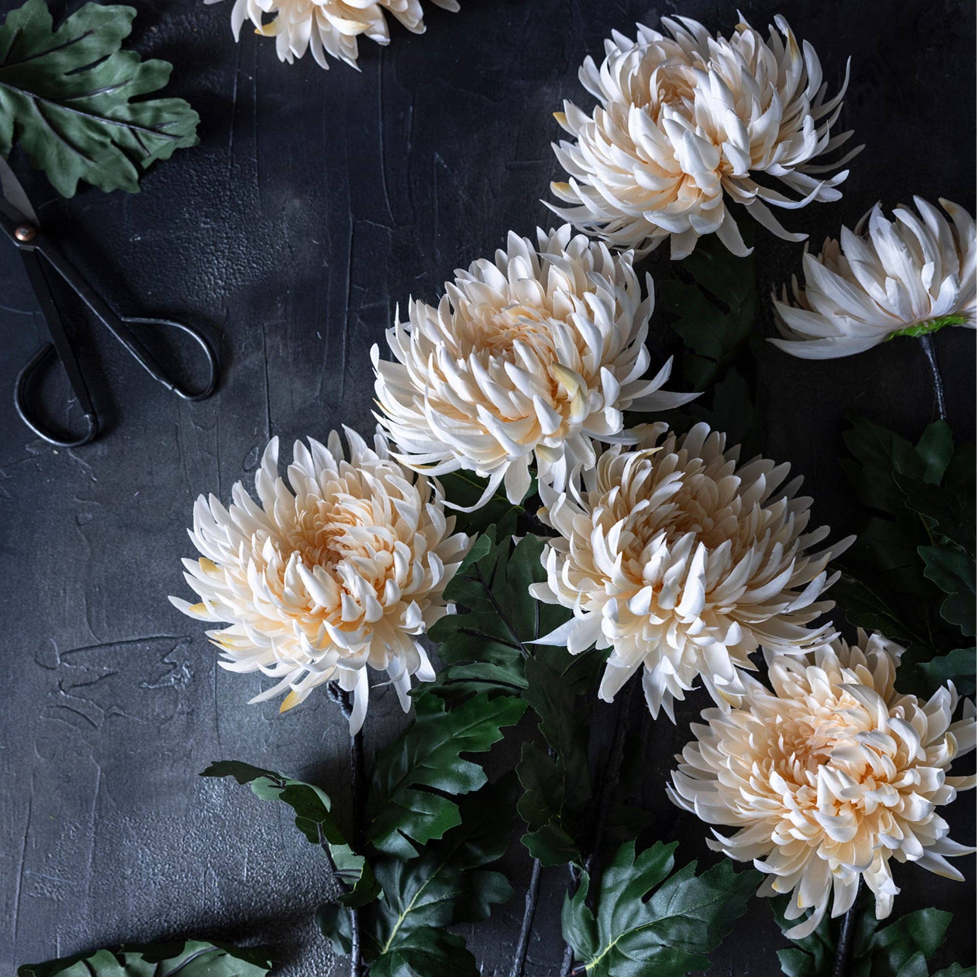 Chrysanthemum Stem | Cream