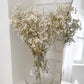 Natural Preserved Baby’s Breath