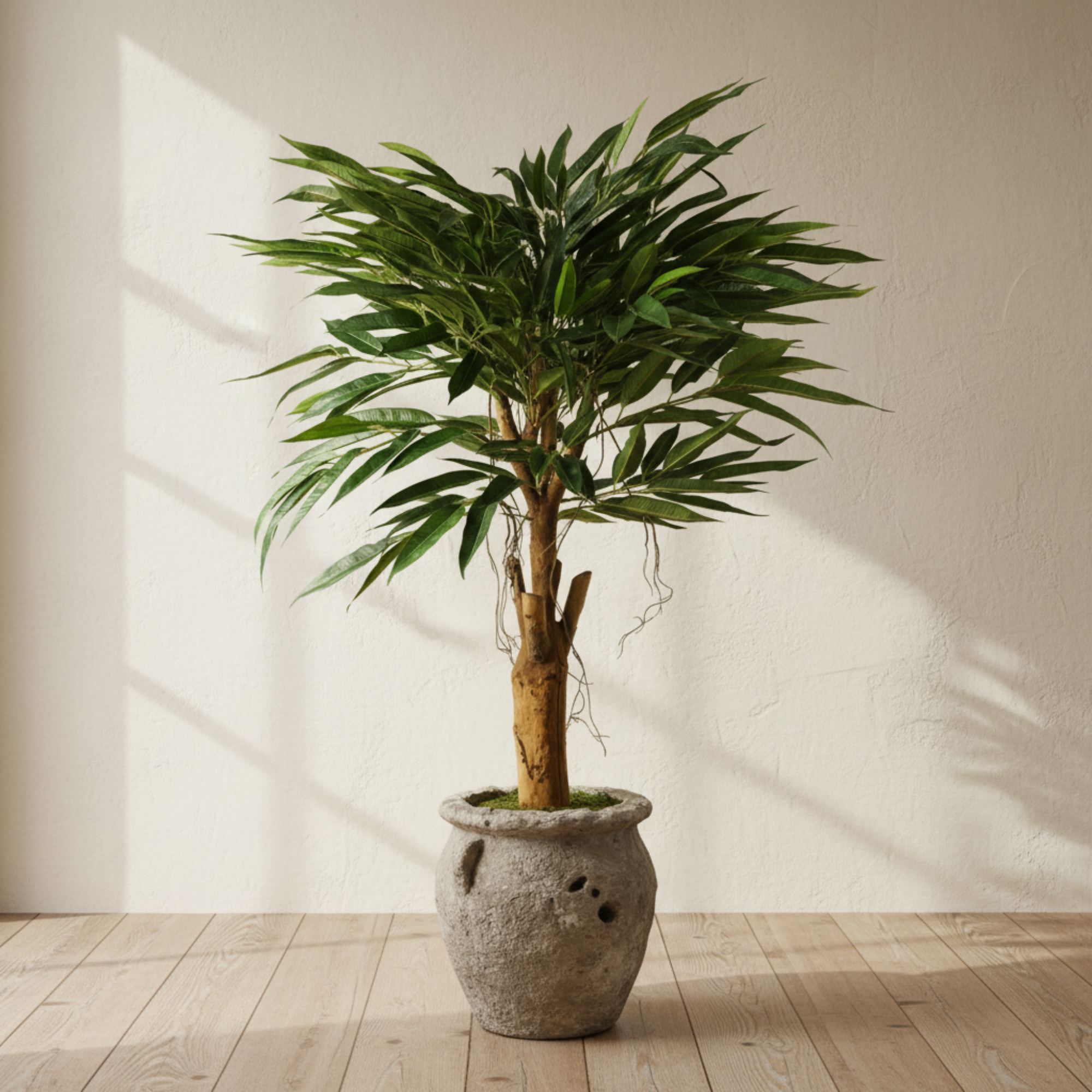 Artificial Longifolia Ficus Tree