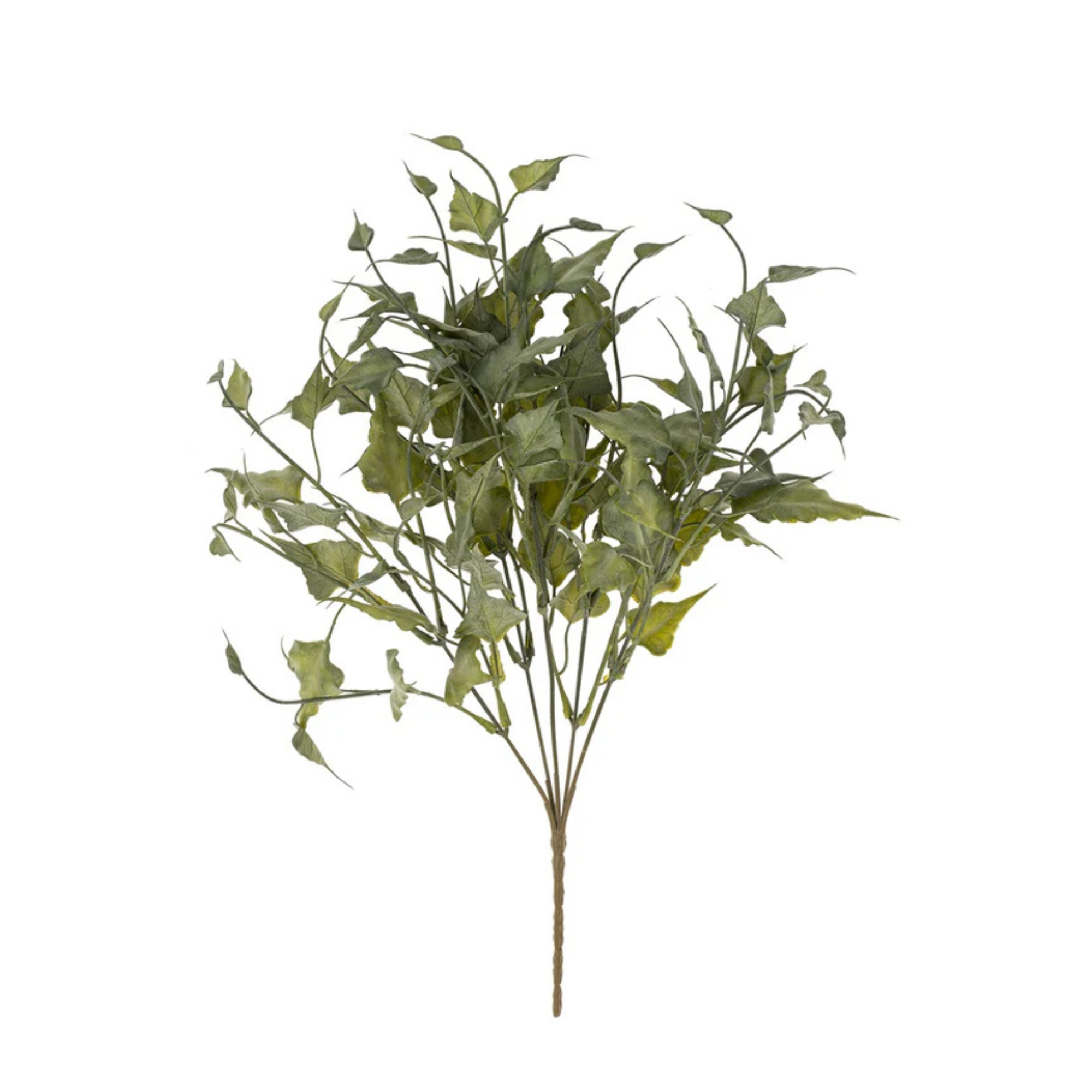 Ivy Spray | Green