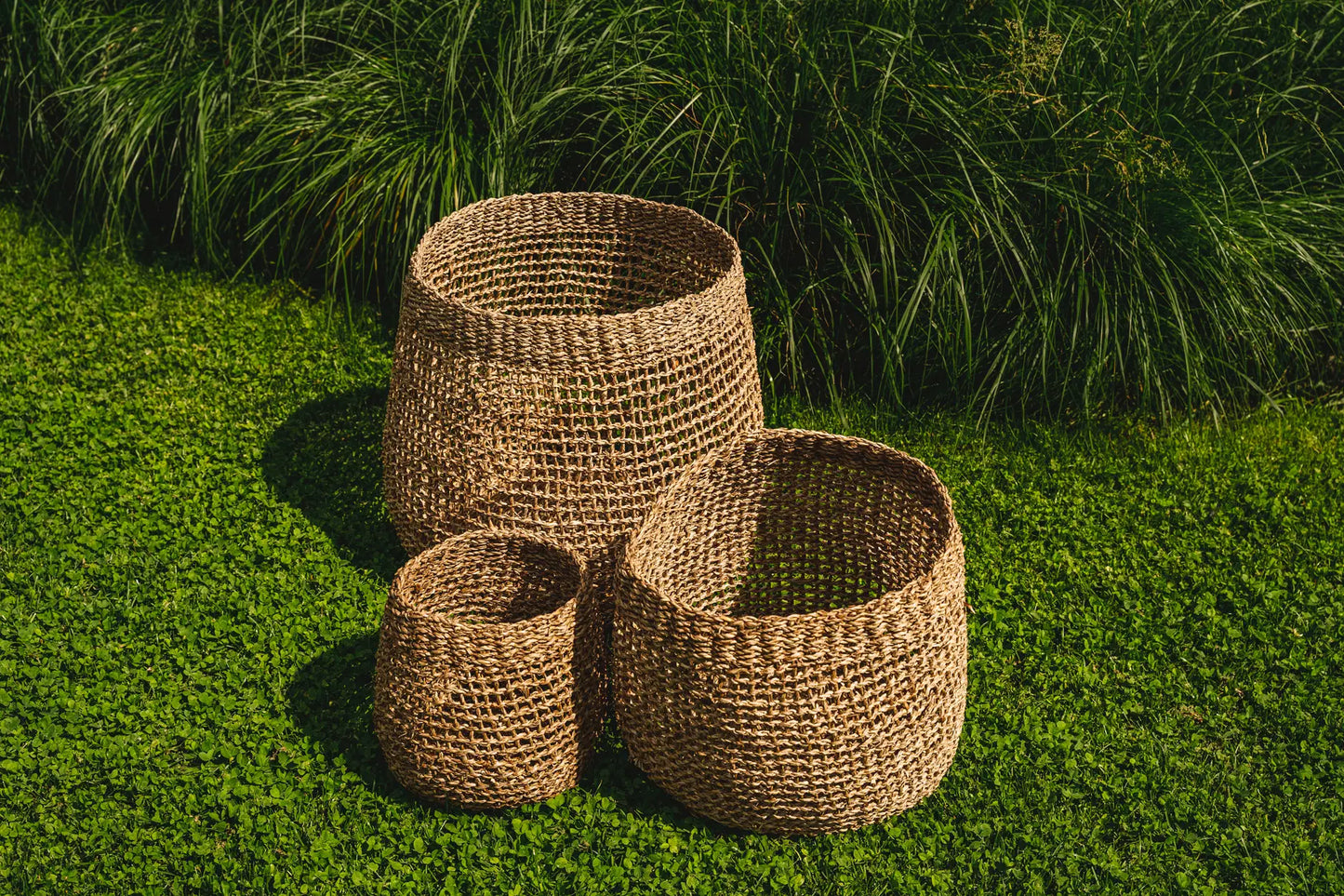 Lang Co Basket | Multiple Sizes