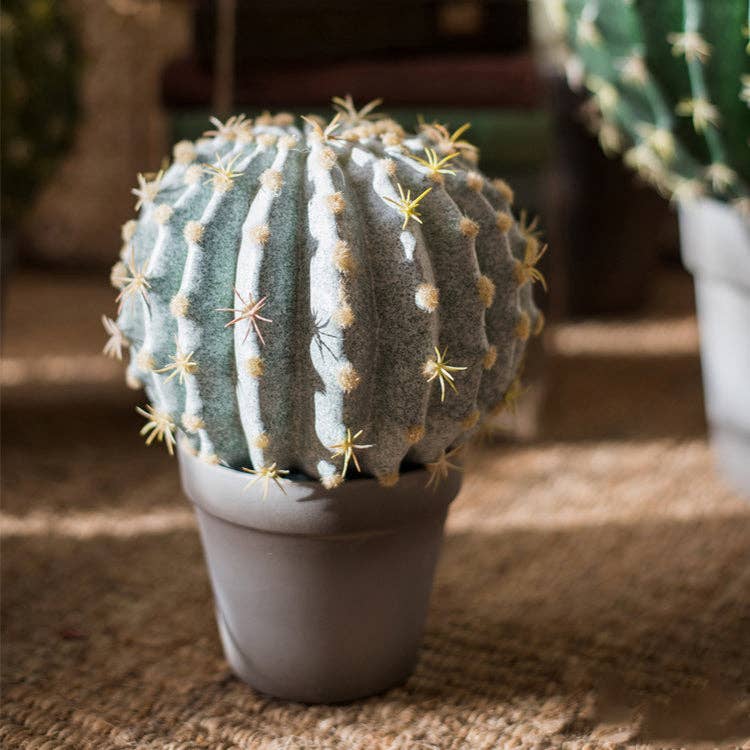 Potted Cactus Ball | Small