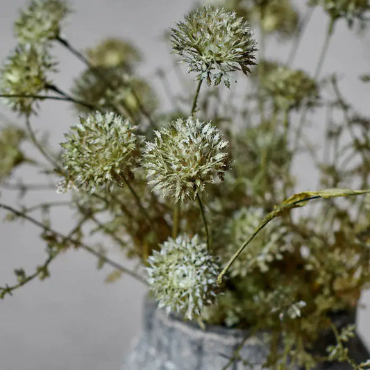 Melaleuca Dusk Stem