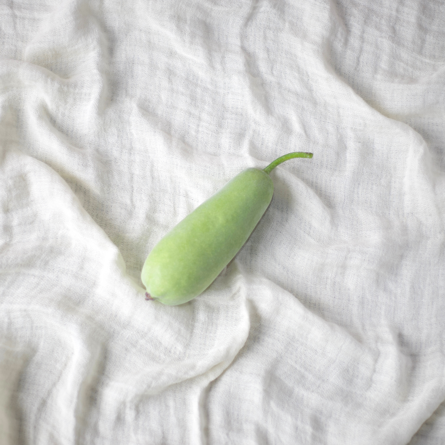 Green Gourd Pumpkin