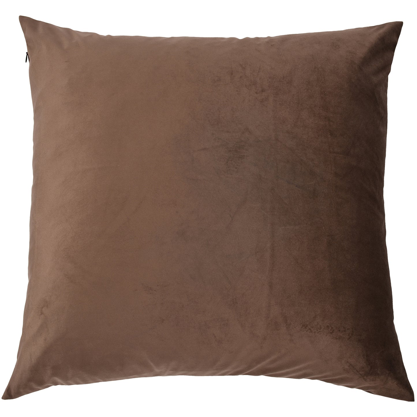 Maryann Pillow